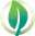 Environment